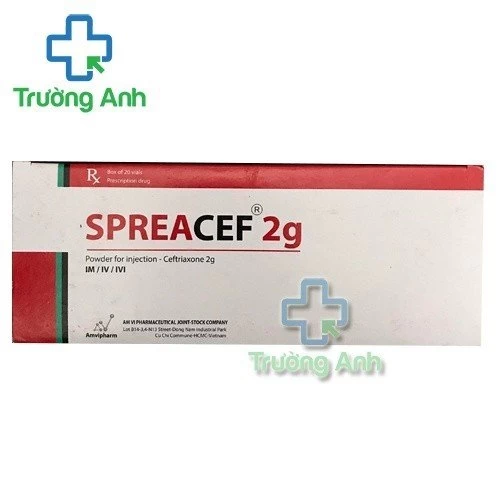 Spreacef 2g Amvi Pharm