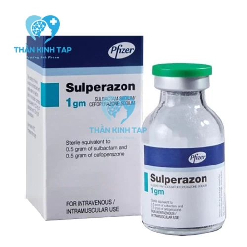 Cefoperazone sulbactam - Thuốc điều trị nhiễm khuẩn