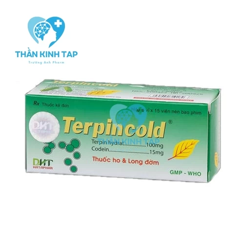 Terpincold (vỉ) 100 Hataphar