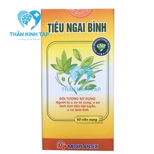 Tiêu Ngai Bình - Hỗ trợ điều trị, ngăn ngừa tế bào ung thư