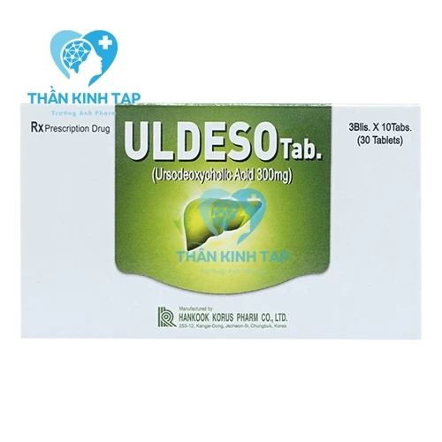 Uldeso Tab - Thuốc điều trị bệnh lý về đường mật, túi mật
