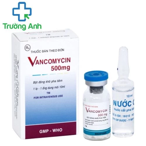 Vancomycin 500mg - Vancomycin Bidiphar