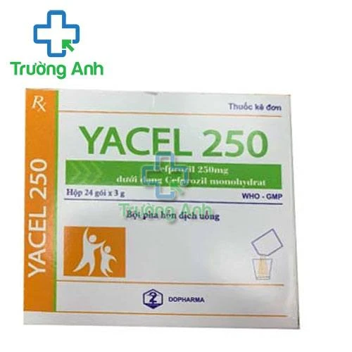 Yacel 250 - Thuốc kháng sinh điều trị nhiễm khuẩn hiệu quả