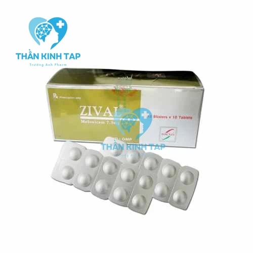 Zival 7,5mg Dược Đông Nam