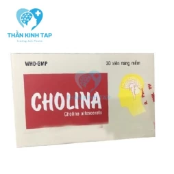 Cholina - Điều trị cho bệnh nhân đột quỵ, sa sút trí tuệ