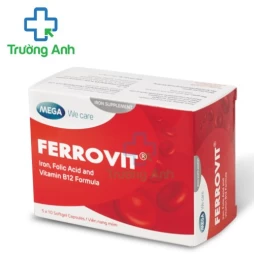 Ferrovit - Thuốc hỗ trợ điều trị bệnh thiếu máu do thiếu sắt