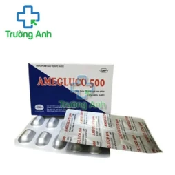 Amegluco 500mg 120 Armephaco - Hỗ trợ điều trị chấn thương mạch máu não