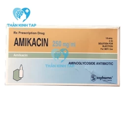Amikacin 250mg/ml - Thuốc điều trị nhiễm khuẩn kị khí