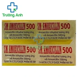 SM.Amoxicillin 500 - Thuốc điều trị nhiễm khuẩn của Hatapharm