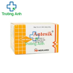 Antesik - Thuốc điều trị viêm đại tràng