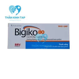 Bigiko 80 BV Pharma - Thuốc điều trị thiểu năng tuần hoàn não, cải thiện trí nhớ