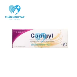 Canigyl - Metronidazol, Chloramphenicol, Dexamethasone Renowed Life Sciences