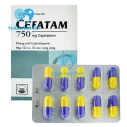 Cefatam 750 Pymepharco