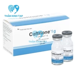 Ceftrione 1g - Thuốc điều trị nhiễm trùng của Bidiphar