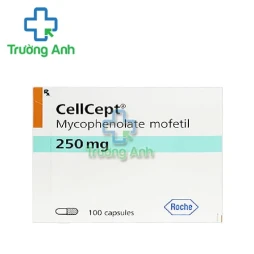 Cellcept 250mg - Thuốc dự phòng thải ghép cấp tính