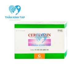 Cerecozin 500mg Sao Kim - Thuốc hỗ trợ cải thiện trí nhớ