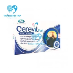 Cerevit Fort - Hỗ trợ tăng cường tuần hoàn não