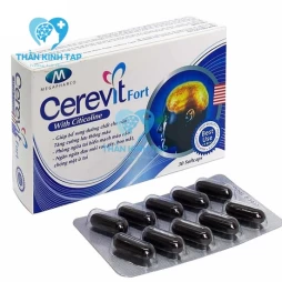 Cerevit Fort - Hỗ trợ tăng cường tuần hoàn não
