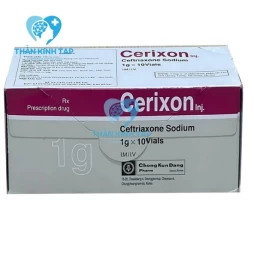 Cerixon inf - Ceftriaxon 1g Chong Kun Dang Pharm