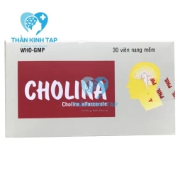 Cholina - Điều trị cho bệnh nhân đột quỵ, sa sút trí tuệ