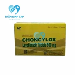 Choncylox 500mg Windlas Biotech