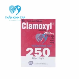 Clamoxyl 250mg GSK