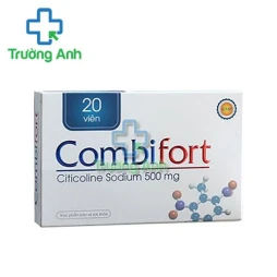 Combifort Syntechpharm - Hai Duong Factory - Hỗ trợ hoạt huyết, tăng cường tuần hoàn máu não