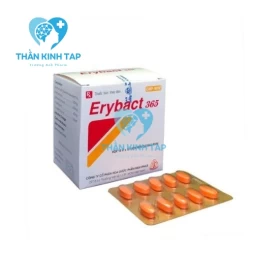 Erybact 365 - Thuốc điều trị nhiễm khuẩn của Mekophar