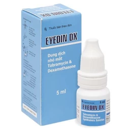 Eyedin DX - Thuốc điều trị nhiễm khuẩn mắt hiệu quả