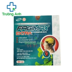 Fagimax Extra - Hỗ trợ tăng cường tuần hoàn máu não