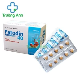 Fatodin 40 - Thuốc điều trị viêm loét dạ dày, tá tràng hiệu quả