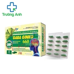 Gaba Ginko 660 - Hỗ trợ hoạt huyết, tăng cường tuần hoàn máu não
