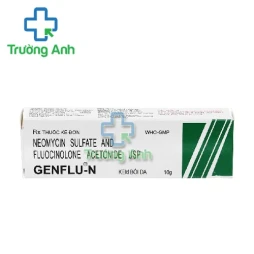 Genflu-n - Thuốc điều trị các bệnh ngoài da hiệu quả