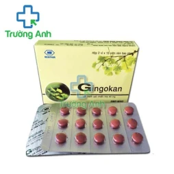 Gingokan - Hỗ trợ giảm thiểu năng tuần hoàn não