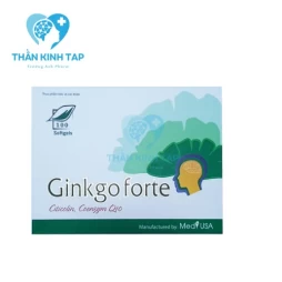 Ginkgo Forte Citicolin, Coenzym Q10 - Hỗ trợ hoạt huyết dưỡng não