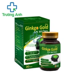 Ginkgo Gold Max An Hưng - Giúp tăng cường lưu thông máu não