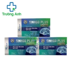 Ginkgo Plus Viha (30 viên) - Giúp tăng cường tuần hoàn máu não