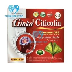 Ginko Citicolin Q10 - Citicolin 90mcg USA PHARMA