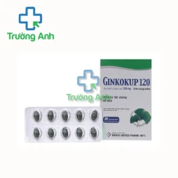 Ginkokup 120mg Korea United - Thuốc điều trị rối loạn mạch máu não, rối loạn tuần hoàn ngoại biên