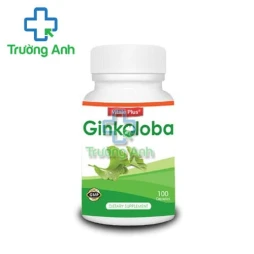 Ginkoloba - Giúp tăng cường lưu thông tuần hoàn máu não