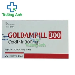 Goldampill 300 - Thuốc điều trị bệnh do nhiễm vi khuẩn, nấm hiệu quả