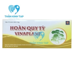 Hoàn quy tỳ Vinaplant - Giúp ích khí bổ huyết, kiện tỳ dưỡng tâm