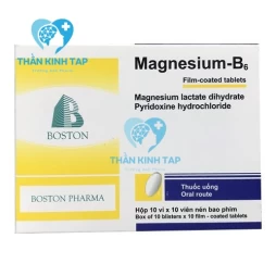 Magnesium B6 BOSTON