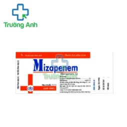 Mizapenem 1g - Thuốc điều trị viêm, nhiễm khuẩn