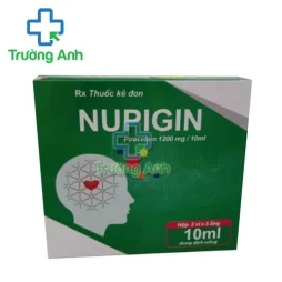 Nupigin 1200mg/10ml CPC1HN - Thuốc điều trị chứng đau đầu, chóng mặt