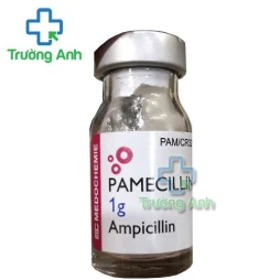 Pamecillin - Thuốc kháng sinh điều trị nhiễm khuẩn hiệu quả