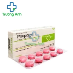 Phupogyl - Thuốc điều trị nhiễm khuẩn trong khoang miệng