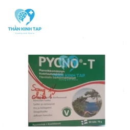 Pycno-T - Hỗ trợ cải thiện lưu thông máu hiệu quả