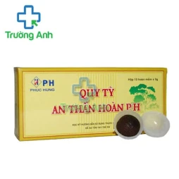 Quy tỳ an thần hoàn P/H - Thuốc điều trị mất ngủ, hồi hộp, hay quên