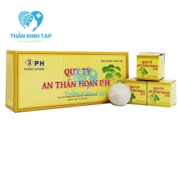 Quy tỳ an thần hoàn P/H - Thuốc điều trị mất ngủ, hồi hộp, hay quên